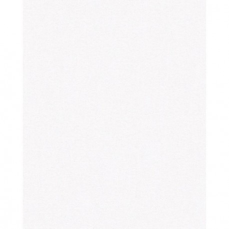 Papier peint stock DELZONGLE Collection PRIMA 2025 référence 6020