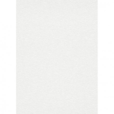 Papier peint stock DELZONGLE Collection PRIMA 2025 référence 6035