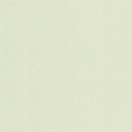 Papier peint stock DELZONGLE Collection PRIMA 2025 référence 6057