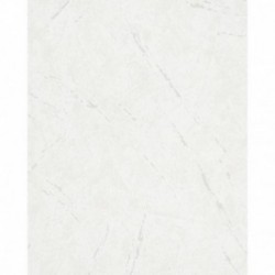 DELZONGLE Batiplus 20267009