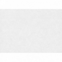 DELZONGLE Batiplus 20267020