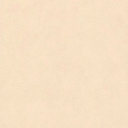 DELZONGLE Batiplus 20267032