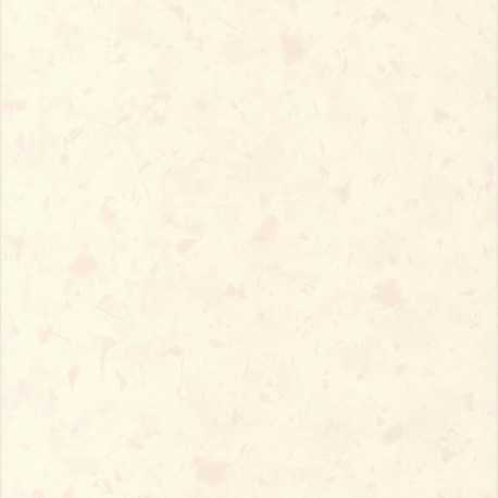 DELZONGLE Batiplus 20267052