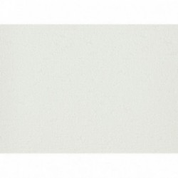 DELZONGLE Batiplus 20267054