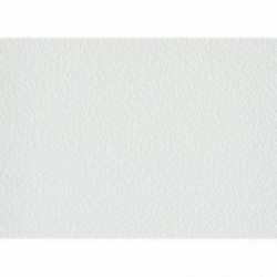 DELZONGLE Batiplus 20267056