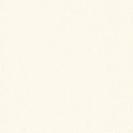 Papier peint stock DELZONGLE Collection BATIPLUS 2026 référence 7038 série B