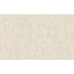 DELZONGLE Prima 2021