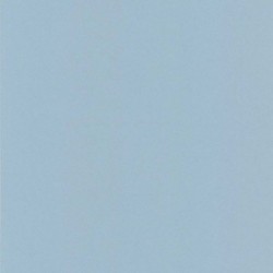 DELZONGLE Prima 2021