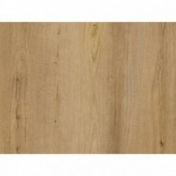 DECORALIA VCR Primo R-55 Acou.