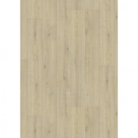 DELZONGLE Decotex+
