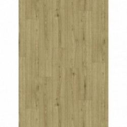 DELZONGLE Decotex+