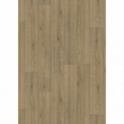 DELZONGLE Decotex+