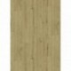 Revêtement de sol DELZONGLE Decotex+ Chêne naturel 4m