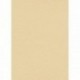 Papier peint stock DELZONGLE Collection PRIMA 2025 référence 6004