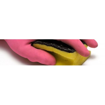 Eponges