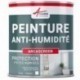 Peinture anti-humidité ARCASCREEN blanc 0,75L