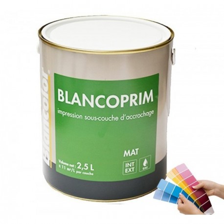 Peinture BLANCOLOR blancoprim blanc 2,5L