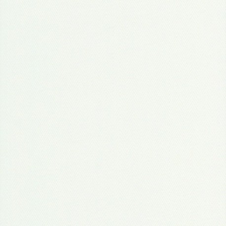 Papier peint stock DELZONGLE Collection BATIPLUS 2026 référence 7029 série B