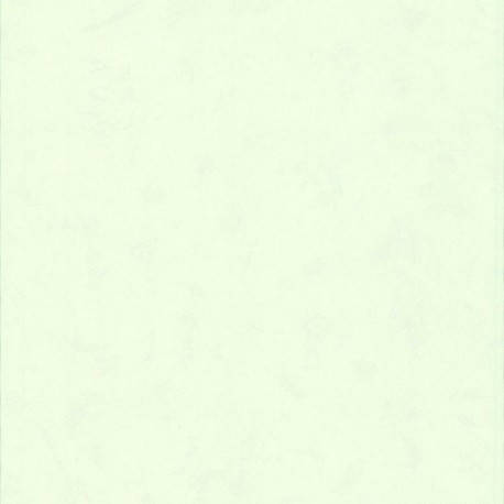 Papier peint stock DELZONGLE Collection BATIPLUS 2026 référence 7031 série B