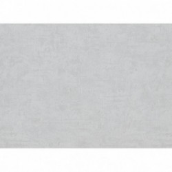 Papier peint stock DELZONGLE Collection BATIPLUS 2026 référence 7036 série B2