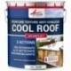 Peinture Toiture ARCAREFLECT CoolRoof 2,5L