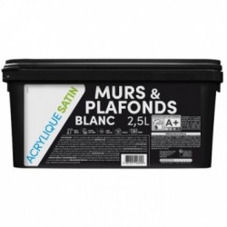 TDP Murs et Plafonds Satin
