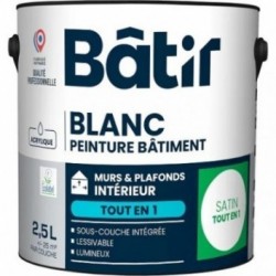 BATIR Murs et Plafonds Tout en 1 satin