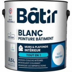 BATIR Murs et Plafonds Tout en 1 mat