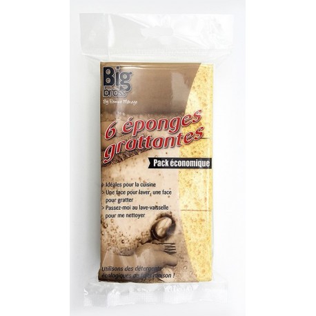 Eponge grattante RM lot de 6 réf : 806804