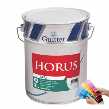 Peinture GUITTET Horus mat blanc 10L