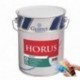 Peinture GUITTET Horus mat blanc 10L