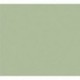 Adhésif ACCESS DECO Rosemary Green brillant 150x45cm