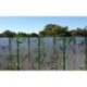 Film Vitrostatique ACCESS DECO 3D Bambouseraie 45cmx20m