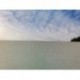Film vitro statique ACCESS DECO tissage blanc 45cmx20m