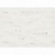 Papier peint stock DELZONGLE Collection BATIPLUS 2026 référence 7028 série B2