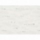 Papier peint stock DELZONGLE Collection BATIPLUS 2026 référence 7028 série B2
