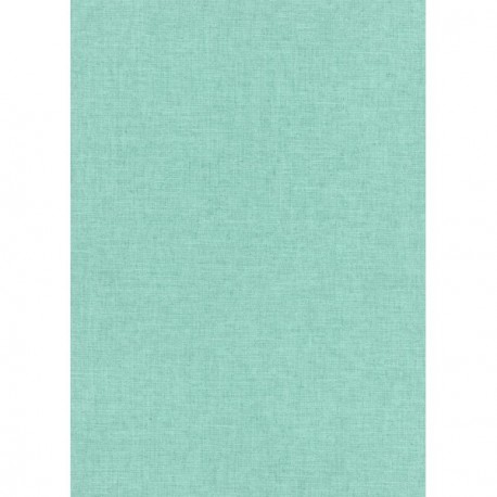 DELZONGLE Prima 6002