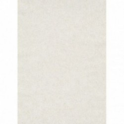 DELZONGLE Prima 6016