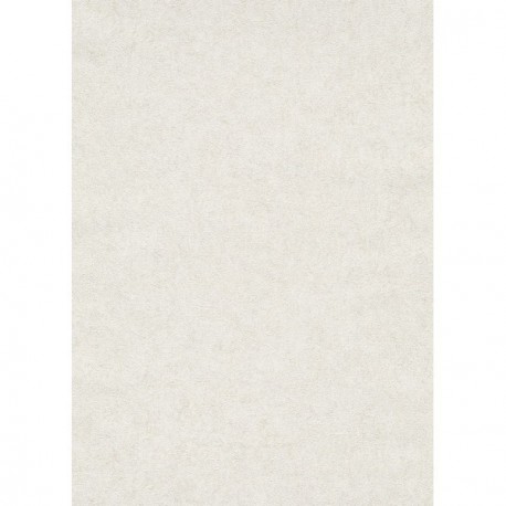 DELZONGLE Prima 6016