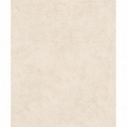 DELZONGLE Prima 6048