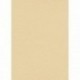 Papier peint stock DELZONGLE Collection PRIMA 2025 référence 6004