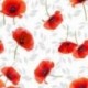 Toile cirée déco ACCESS DECO Champs RL de 140cmx20m