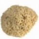 Eponge naturelle 16/17cm PAD