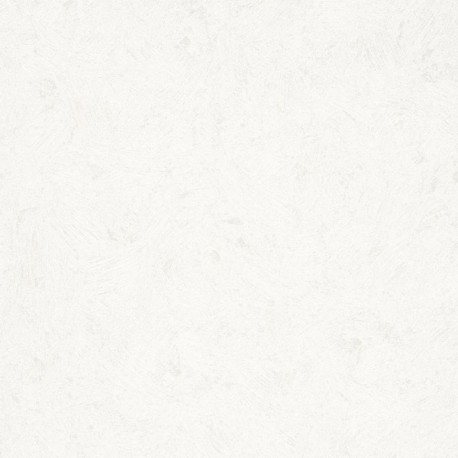 DELZONGLE Prima 4103