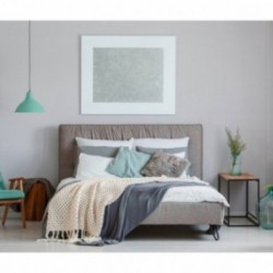 DELZONGLE Prima 4019