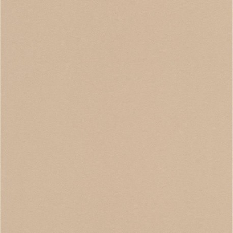Papier peint stock DELZONGLE Collection PRIMA 2023 référence 4042