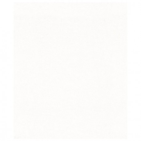 Papier peint stock DELZONGLE Collection PRIMA 2023 référence 4053