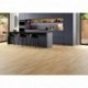 Stratifié ALSAFLOOR Allure WR 10mm 904 chêne Doha paquet de 1,93m²