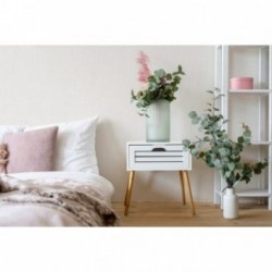 DELZONGLE SOPHIA 2027