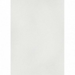 DELZONGLE SOPHIA 2027